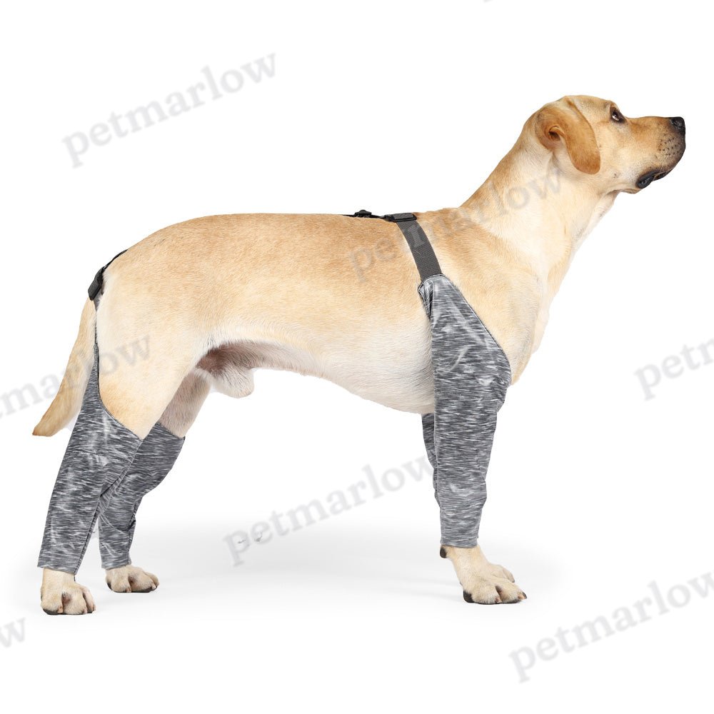 Waterproof Dog Recovery Sleeves for Front and Back Legs – view 6