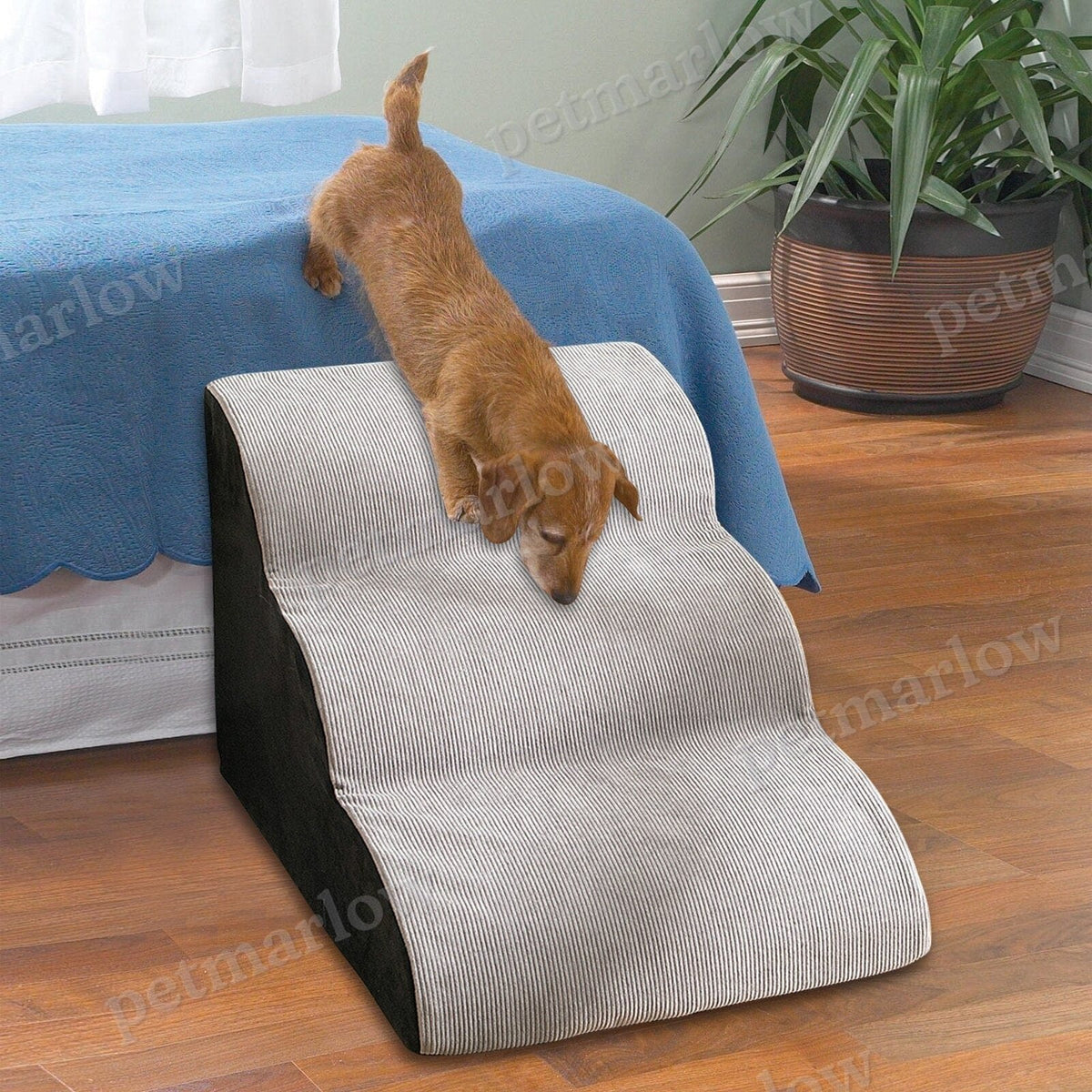 Wavy Dog Stairs – view 3