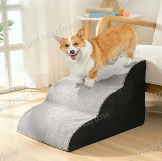 Wavy Dog Stairs – view 4