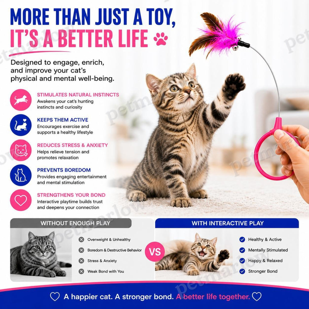 Wearable Cat Feather Collar Toy – view 5