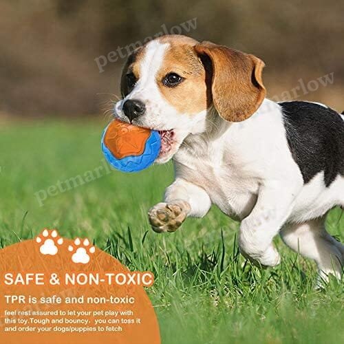 Wheel Floating Toys for Interactive Fetch & Play – view 5