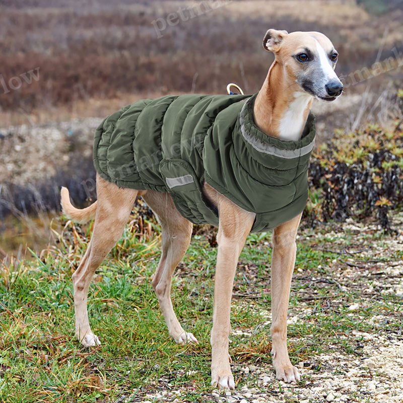 Winter Dog Jacket With Fleece Water-resistant Dog Coat – view 6