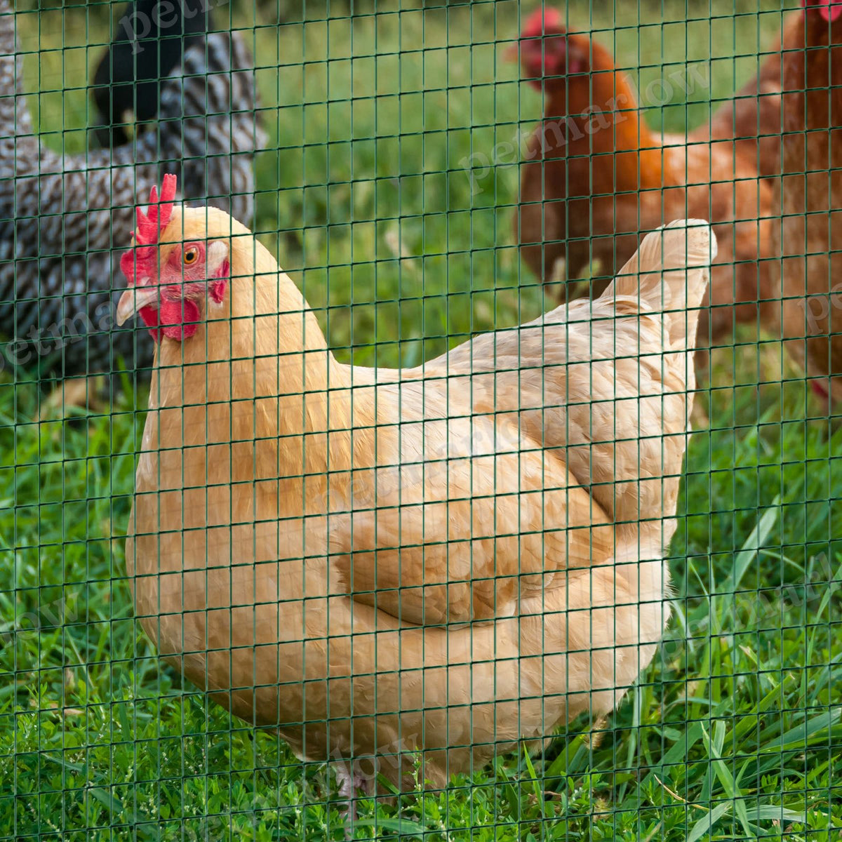 Wire Mesh Fencing for Small Animals and Poultry – view 3