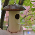 Wooden Bee Mushroom Shape Hummingbird Feeder Pendant – Mushroom Shape / 10.5X10.5X13.5CM
