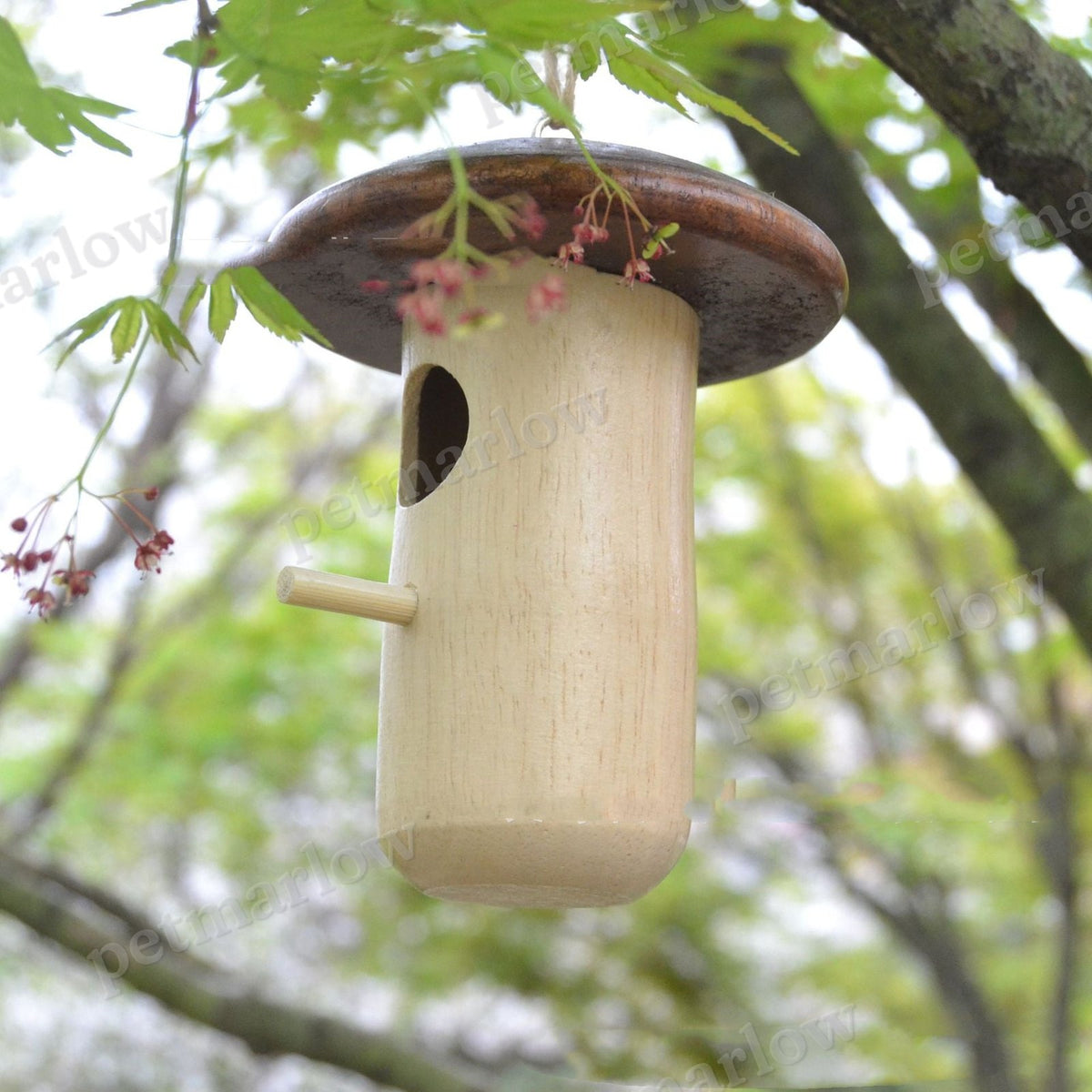 Wooden Bee Mushroom Shape Hummingbird Feeder Pendant – view 3