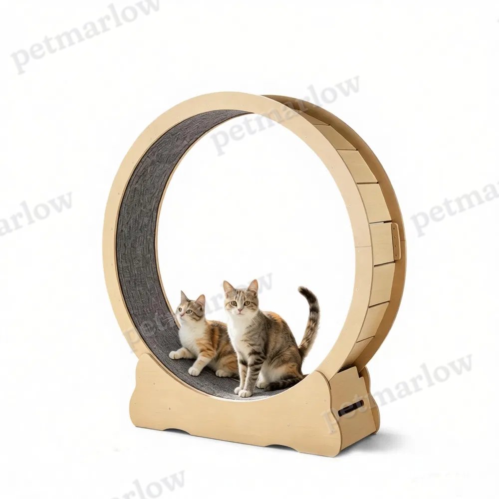 Wooden Cat Exercise Wheel for Active Play – view 6