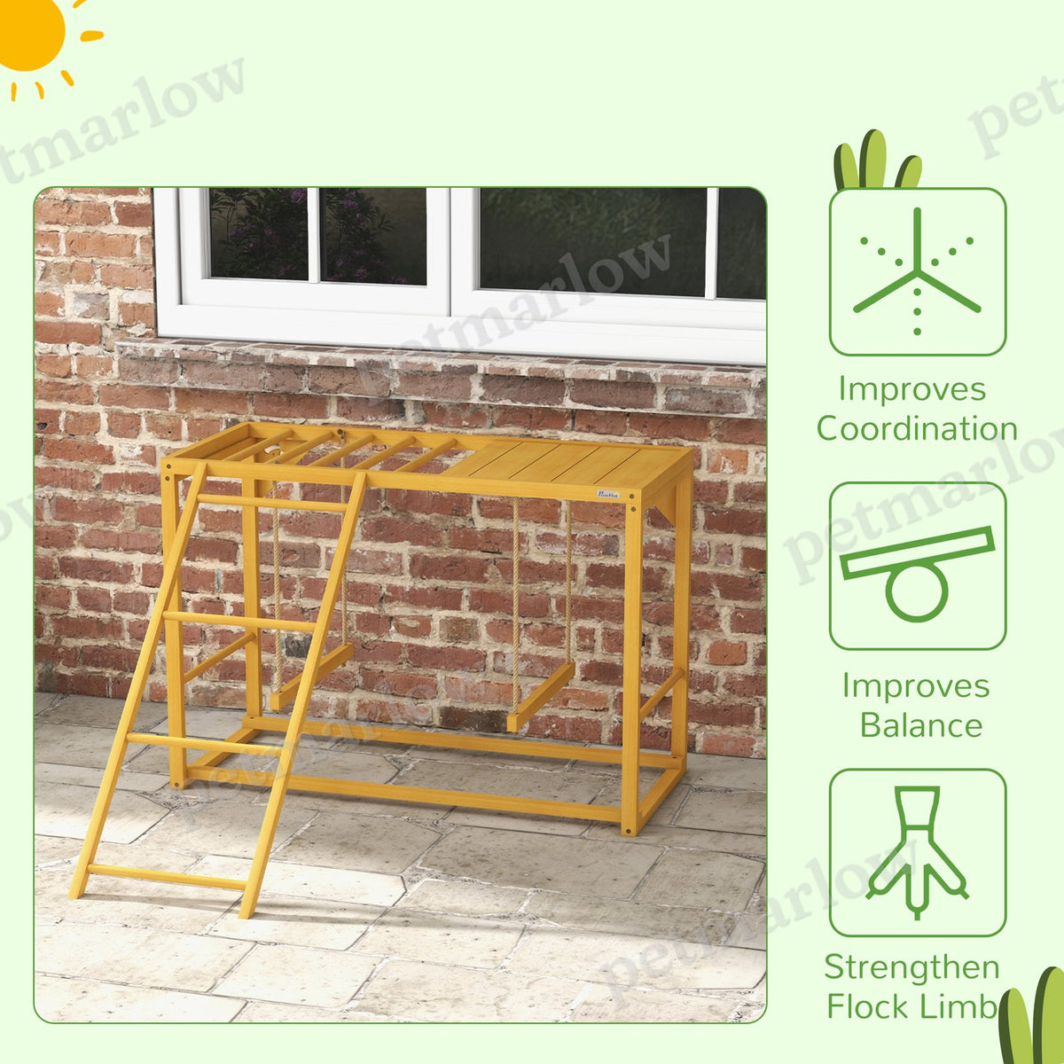 Wooden Chicken Activity Play with Swing Set for Poultry – view 6