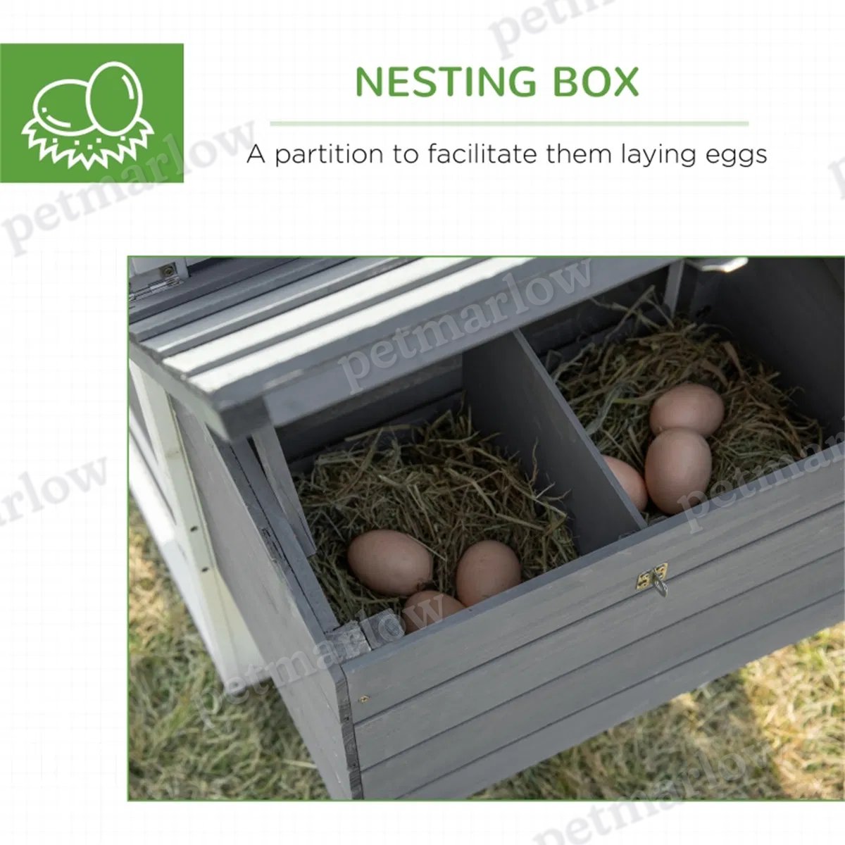 Wooden Chicken Coop for Small Chickens – view 4