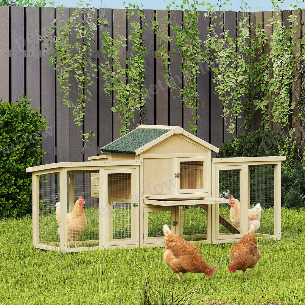 Wooden Chicken Coop with Nesting Box and Double Runs – view 3