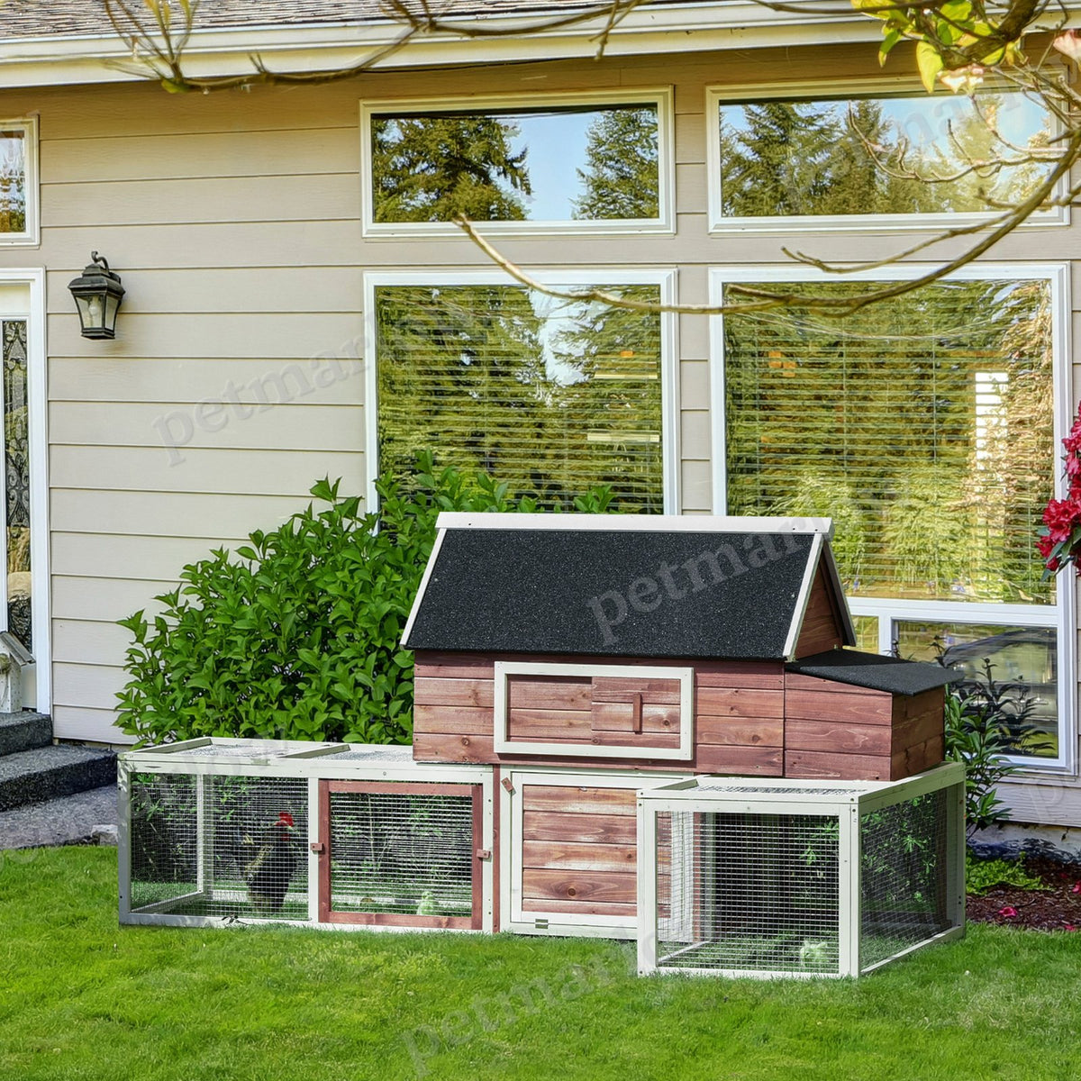 Wooden Chicken Coop with Nesting Box and Double Runs – view 3