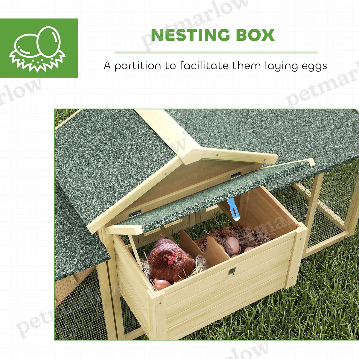 Wooden Chicken Coop with Nesting Box and Double Runs – view 4