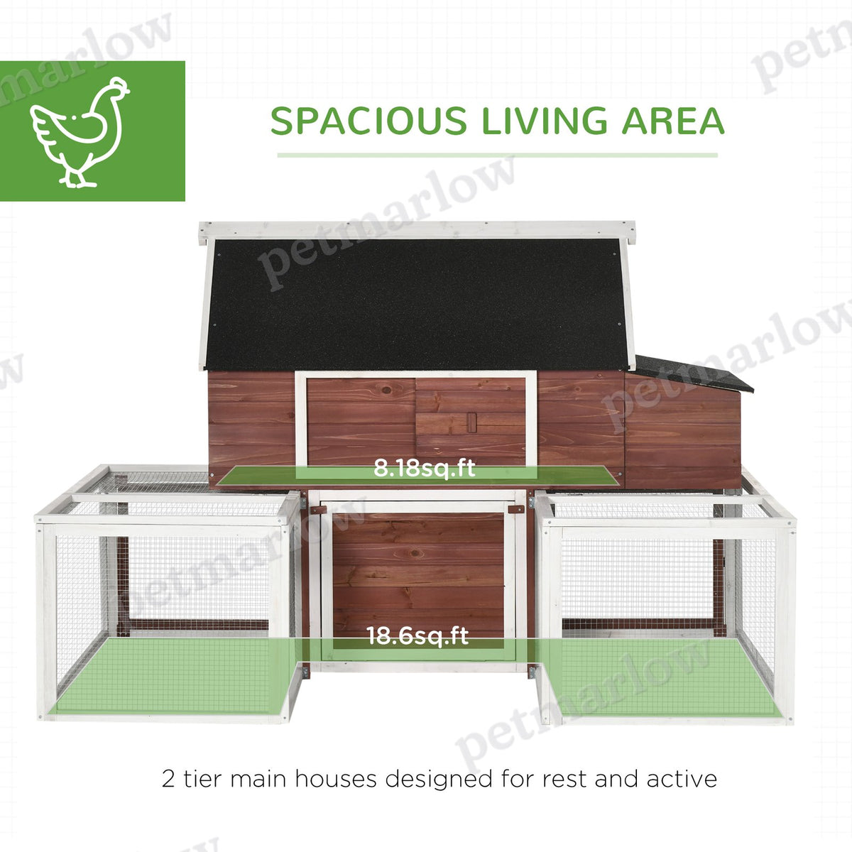 Wooden Chicken Coop with Nesting Box and Double Runs – view 5