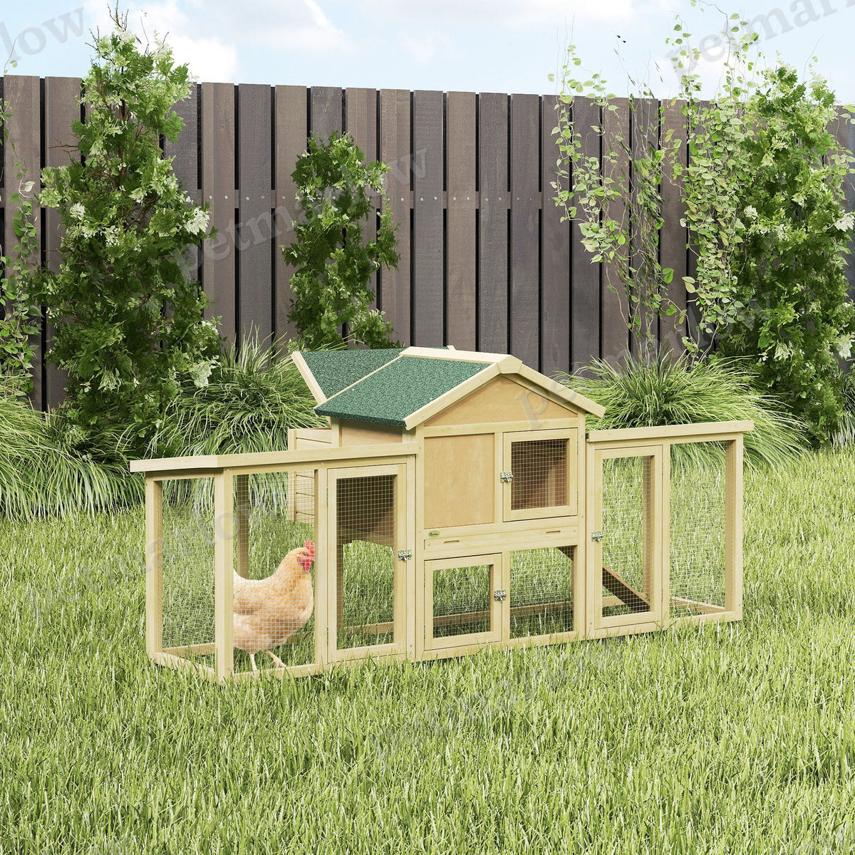 Wooden Chicken Coop with Nesting Box and Double Runs – view 6