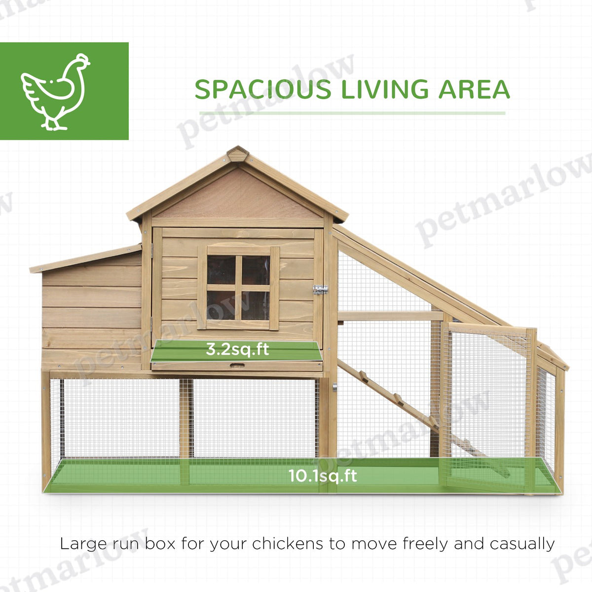 Wooden Chicken Coop with Nesting Box and Ramp – view 3