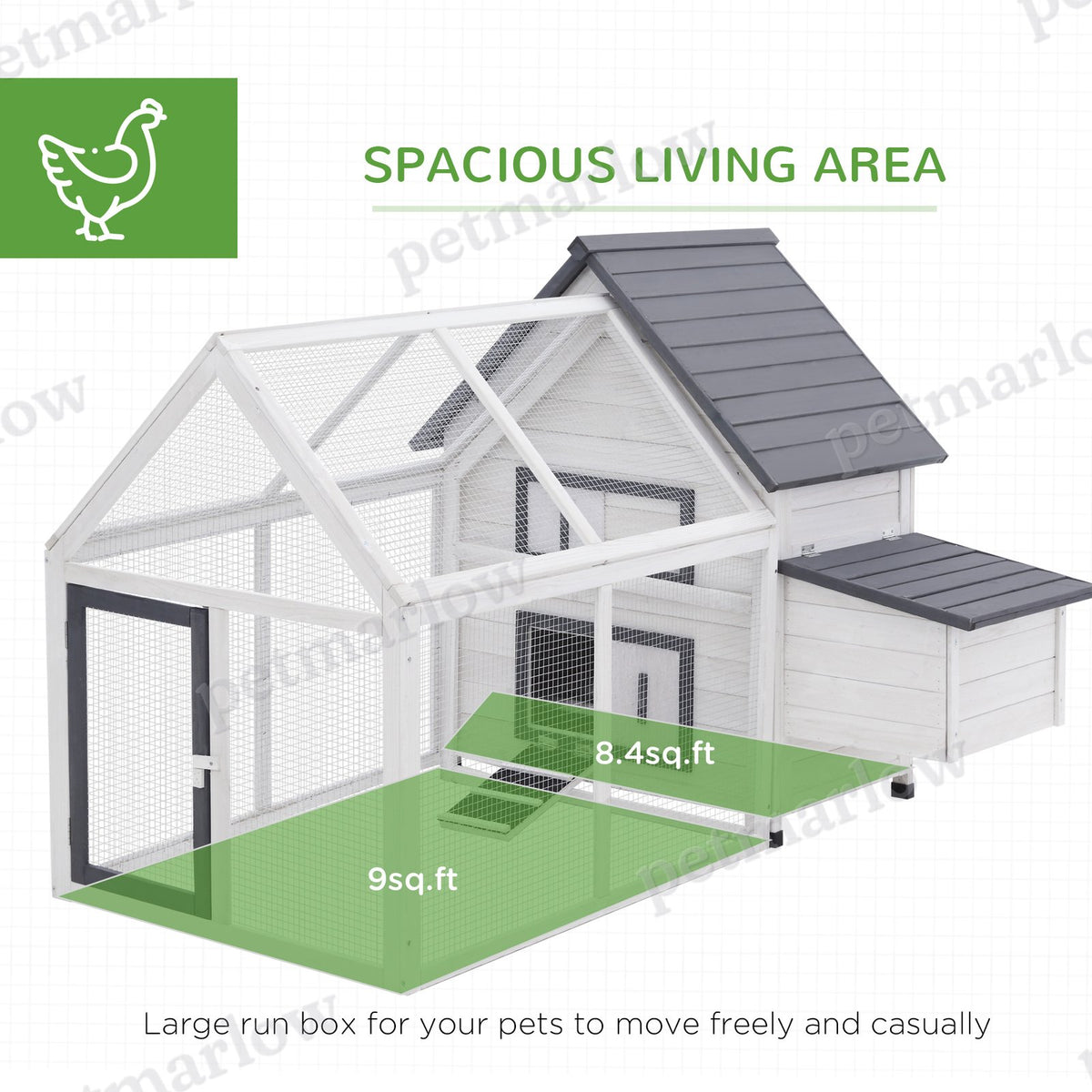 Wooden Chicken Coop with Nesting Box and Ramp – view 4
