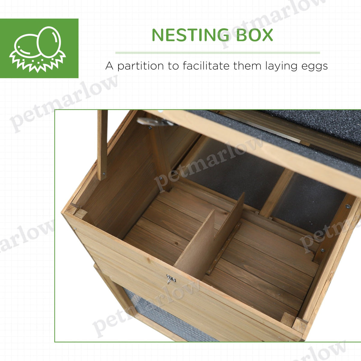 Wooden Chicken Coop with Nesting Box and Ramp – view 5
