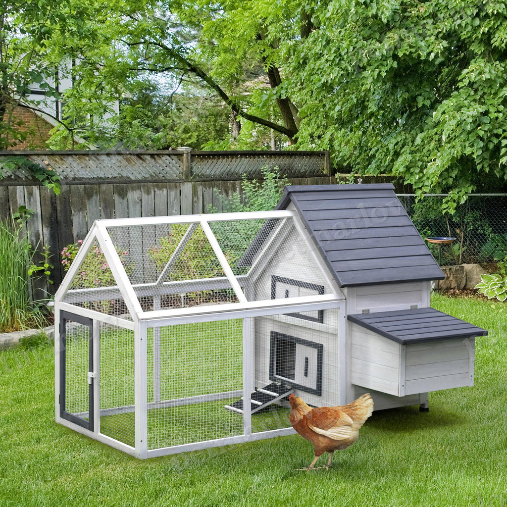Wooden Chicken Coop with Nesting Box and Ramp – view 6