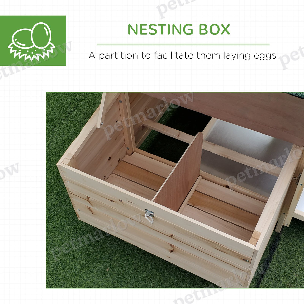 Wooden Chicken Coop with Nesting Box and Removable Tray – view 3