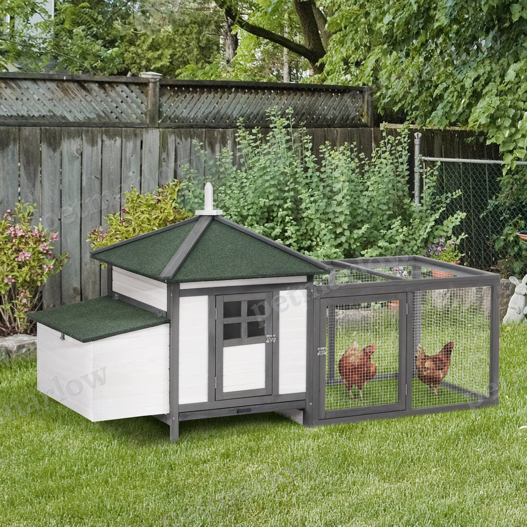 Wooden Chicken Coop with Nesting Box for Backyard Poultry – view 5