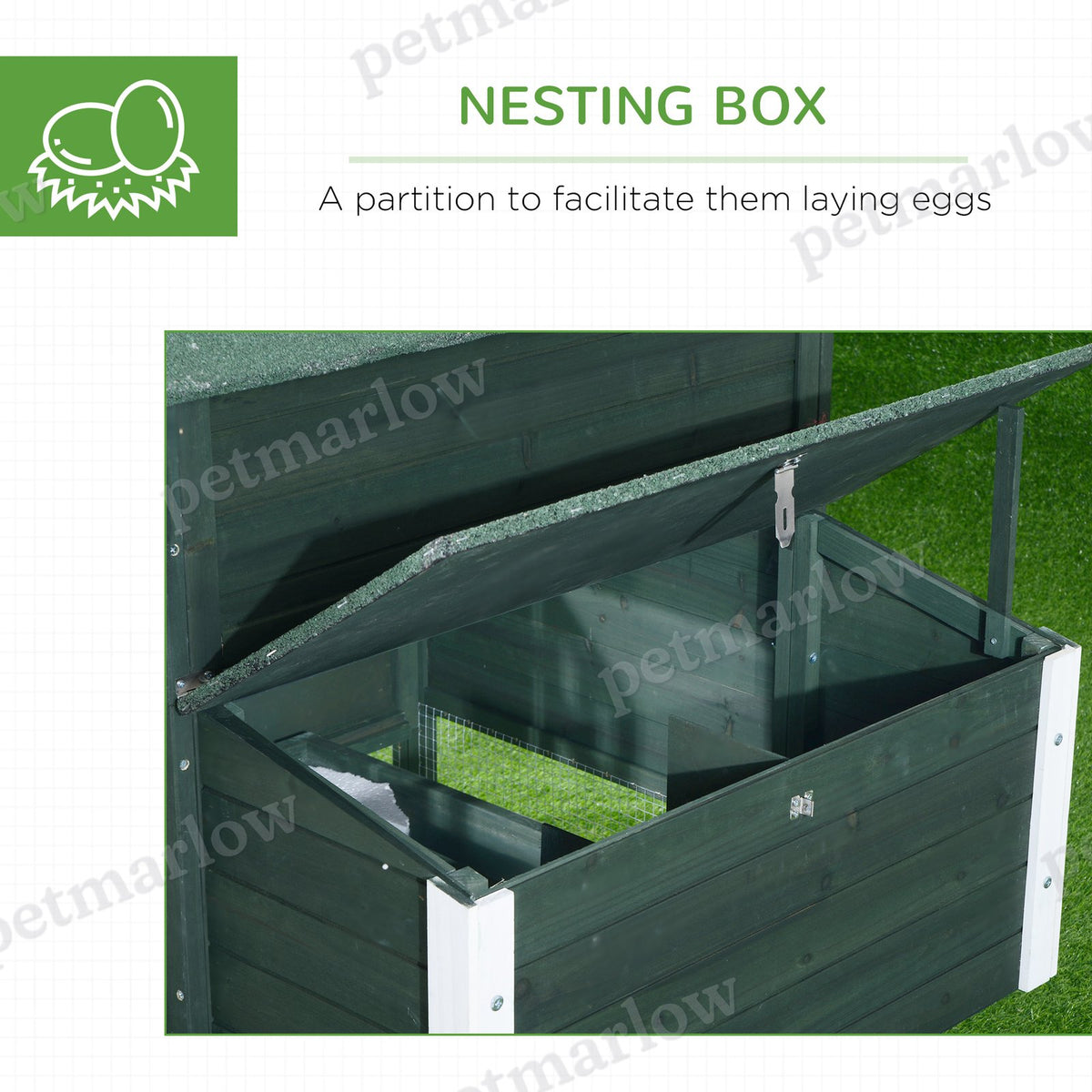Wooden Chicken Coop with Run and Nesting Box – view 3
