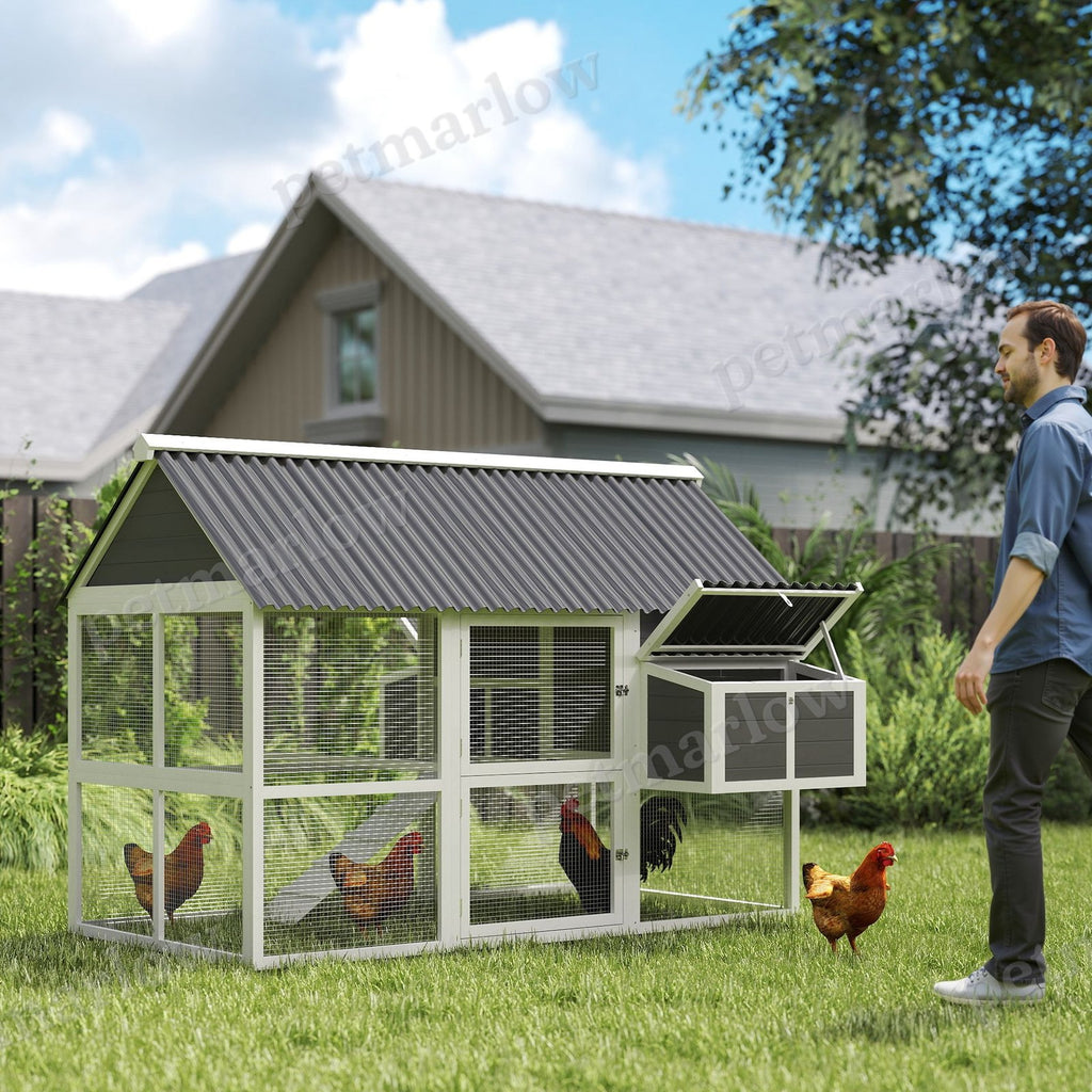 Wooden Chicken Coop with Run and Nesting Boxes – view 3