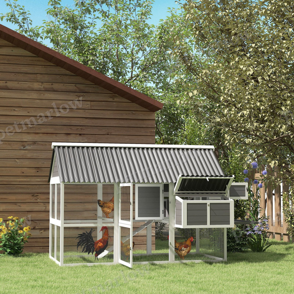 Wooden Chicken Coop with Run and Nesting Boxes – view 6