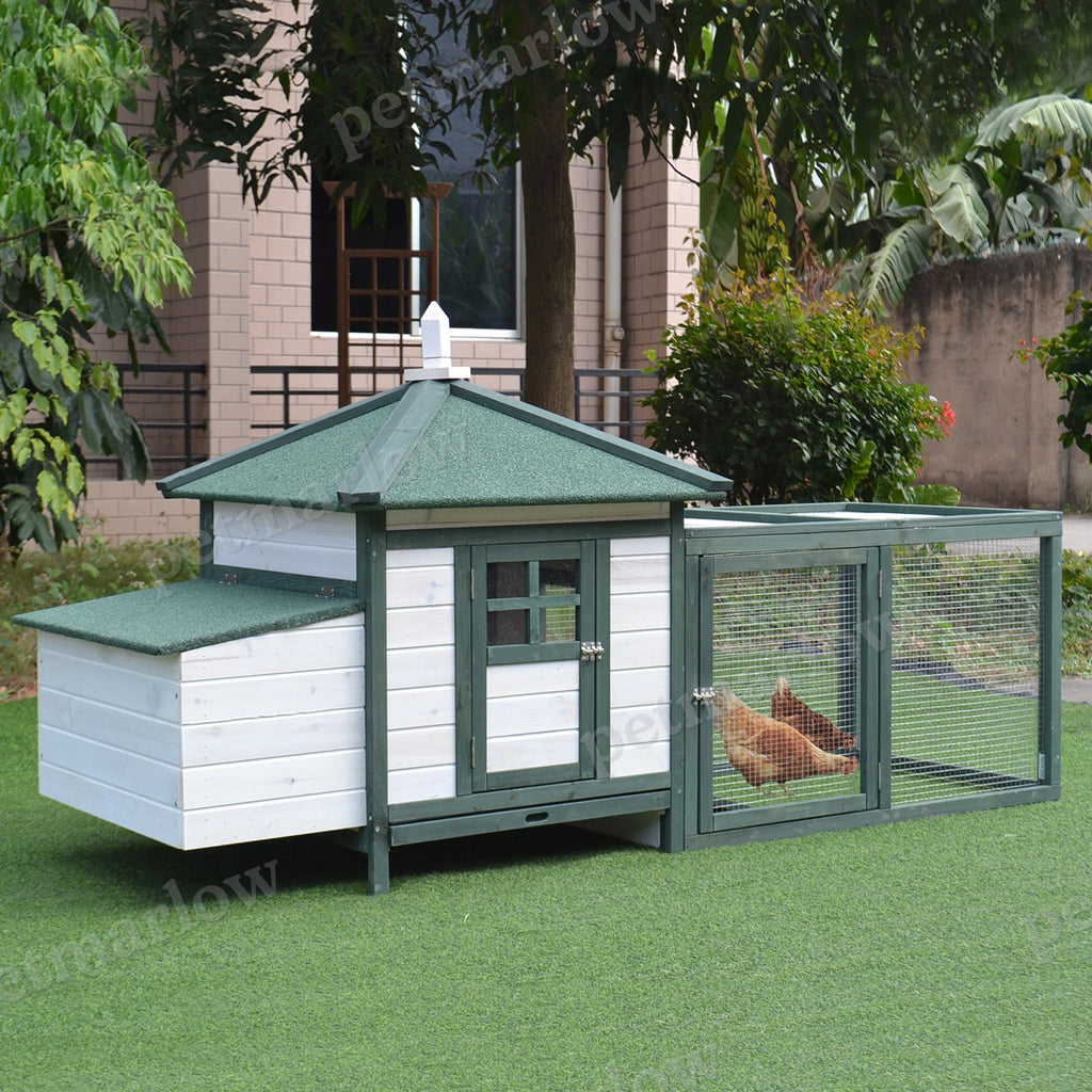 Wooden Chicken Coop with Weatherproof Roof and Nesting Box – view 5