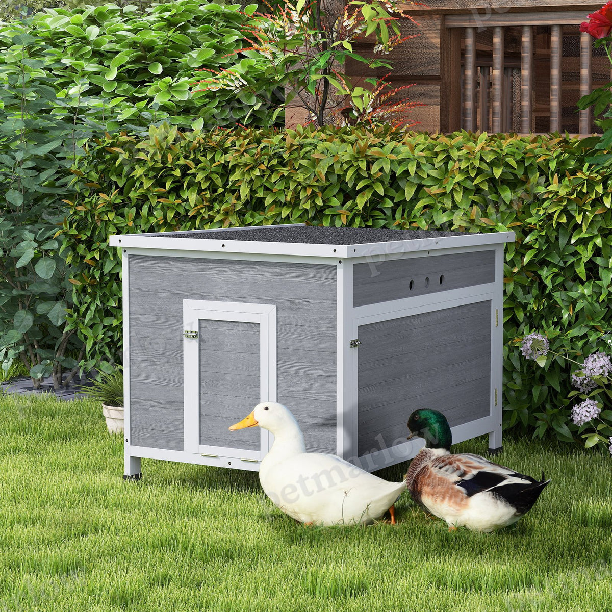 Wooden Duck Coop with Openable Roof and Removable Floor – view 3