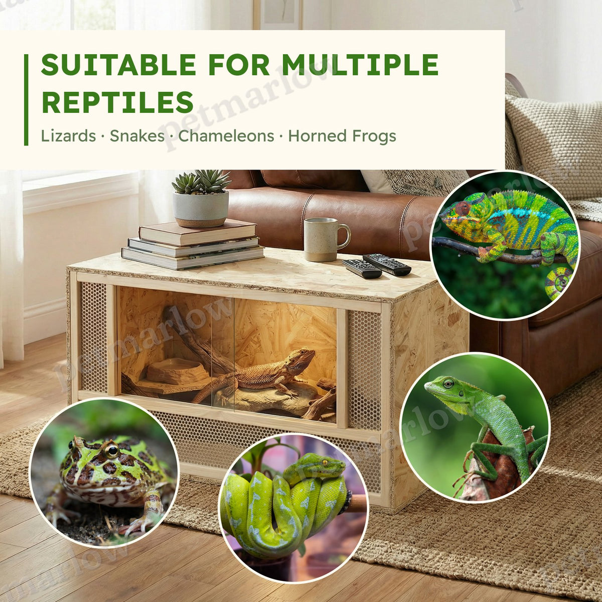 Wooden Reptile Terrarium with Sliding Door for Small Animals – view 5